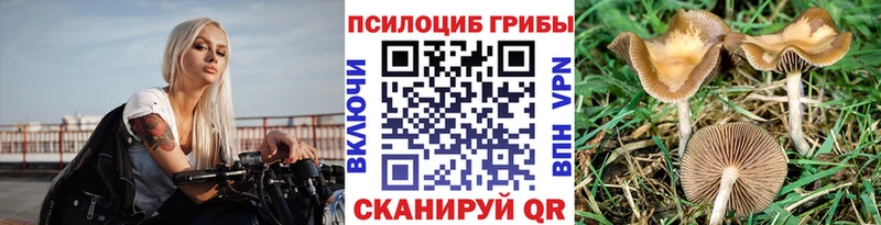 Псилоцибиновые грибы прущие грибы  цена   маркетплейс Telegram  Рошаль  ссылка на мегу ONION 